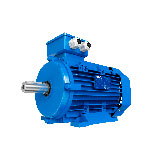 Motor 100L2 Monofásico 3,00kW