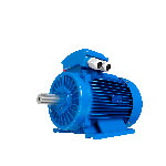 Motor 225M Trifásico 30,00kW