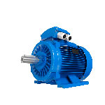 Motor 315S Trifásico 110,00kW