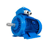 Motor 225M Trifásico 45,00kW
